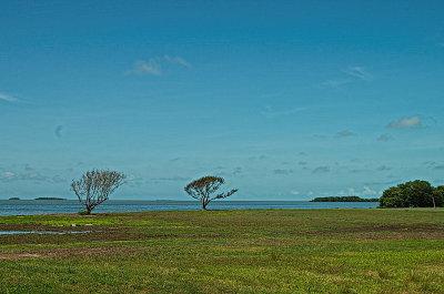 Bottom of the Glades