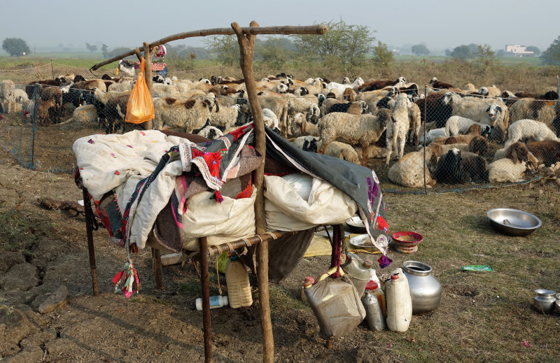 sheepherders camp