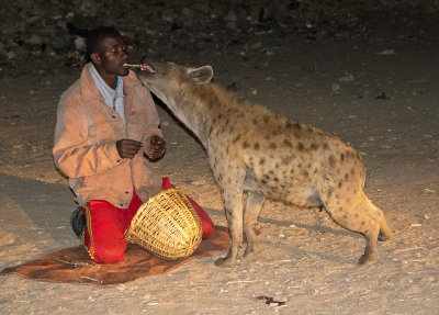 hyena man