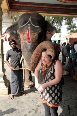 elephant blessing