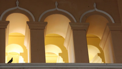 windows and arches
