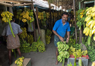 banana market