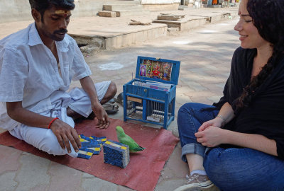 fortune teller