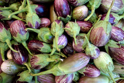 eggplant (brinjal)