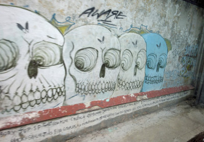 skull mural Aware