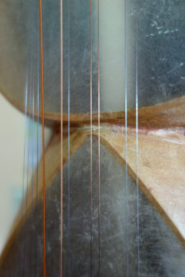 detail, stringed instrument