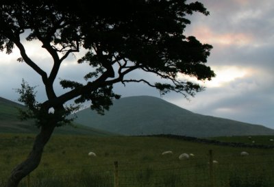 Sunrise at Latrigg, the Lake District