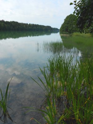 Wysokie Lake, Filipow, Poland