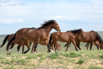 20160602_5571 copy.jpg