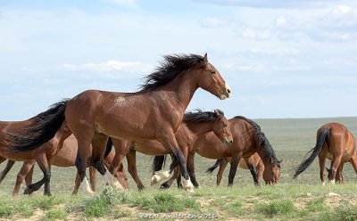20160602_5573 copy.jpg
