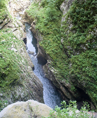 Near Skocjanske caves