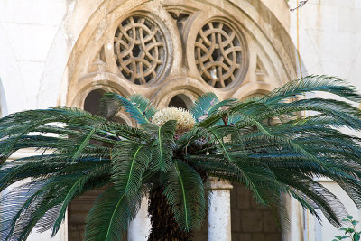 Dominican Monastery