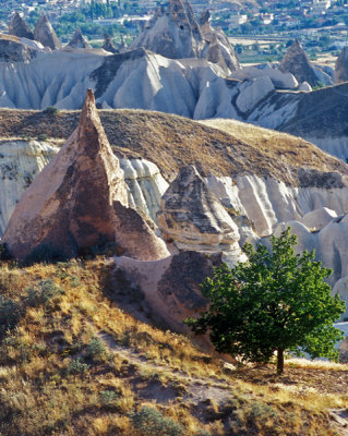 Rose Valley
