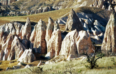 Rose Valley