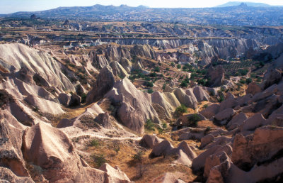 Rose Valley