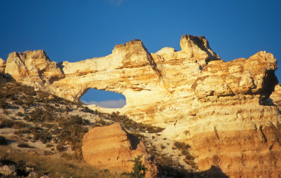 Rose Valley
