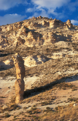 Rose Valley