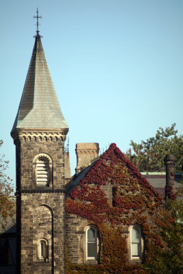 University College