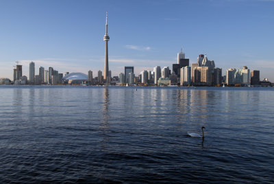 View from Toronto Islands