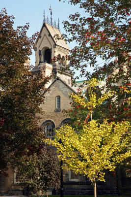 University College