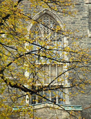Emmanuel College