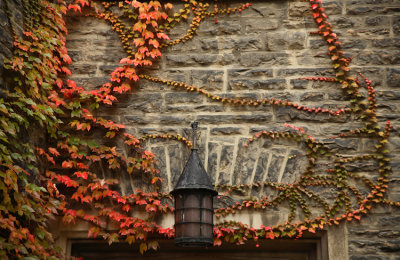 Emmanuel College