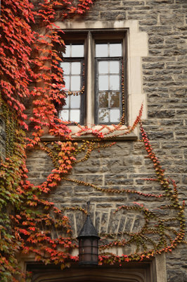 Emmanuel College