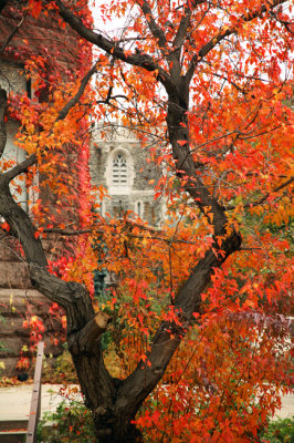 Emmanuel College