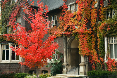 Faculty of Law