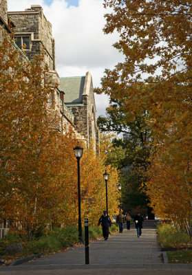 Knox College
