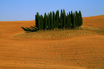 Tuscany 2007