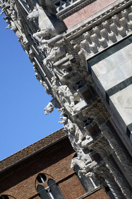 siena5_w.jpg