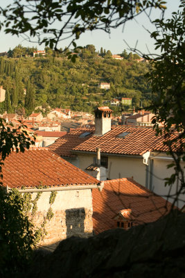 piran10_w.jpg