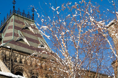 University College