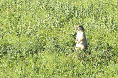 DSC_2649.jpg