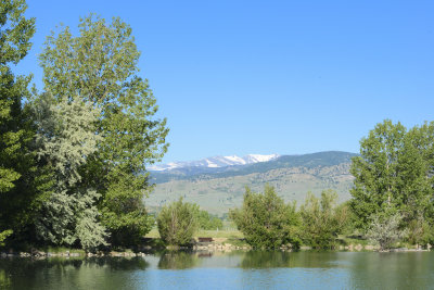 DSC_2686.jpg