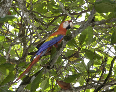 Costa Rica, Dcembre 2012
