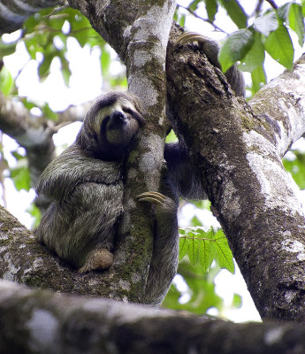 Costa Rica, Dcembre 2012