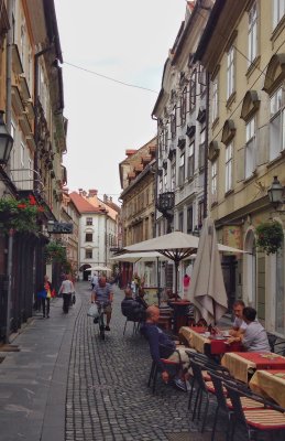 Rue pitone, Ljubljana