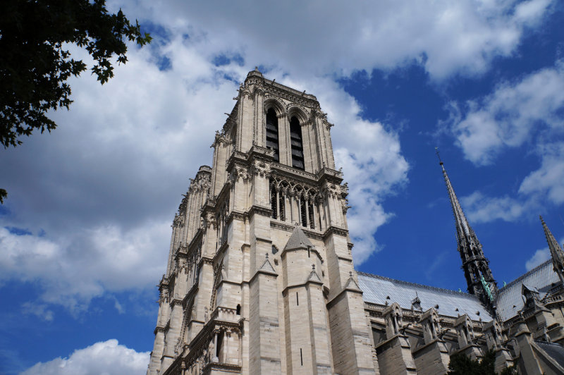 Notre Dame gargoyles