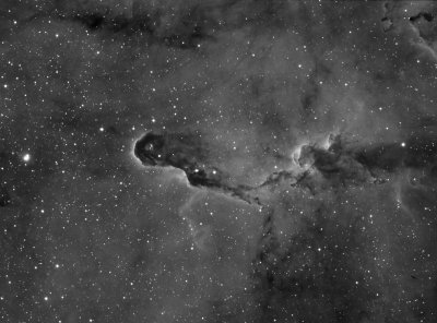 VDB142 the Elephant Trunk Nebula