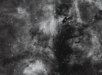 LDN 900 dark nebula  in Cygnus