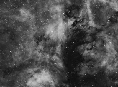 LDN 900 dark nebula in Cygnus