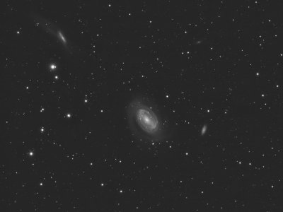 NGC 4725 Area  Luminance