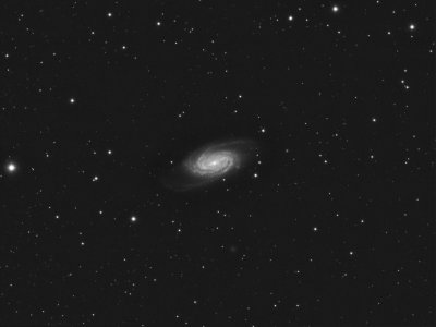 NGC 2903  Luminance 