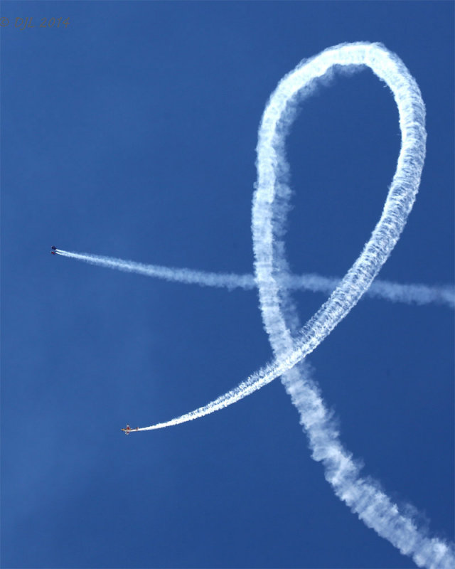 LACAS_095.jpg