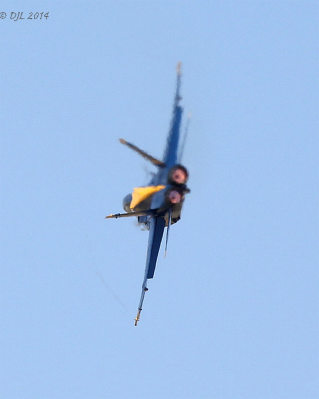LACAS_141.jpg