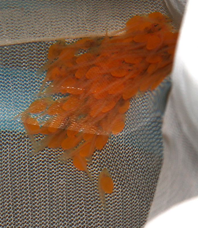 LF_BN_008_161031.jpg