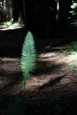 7T0A2619.JPG