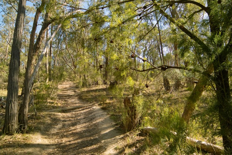 Butterfly Reserve V